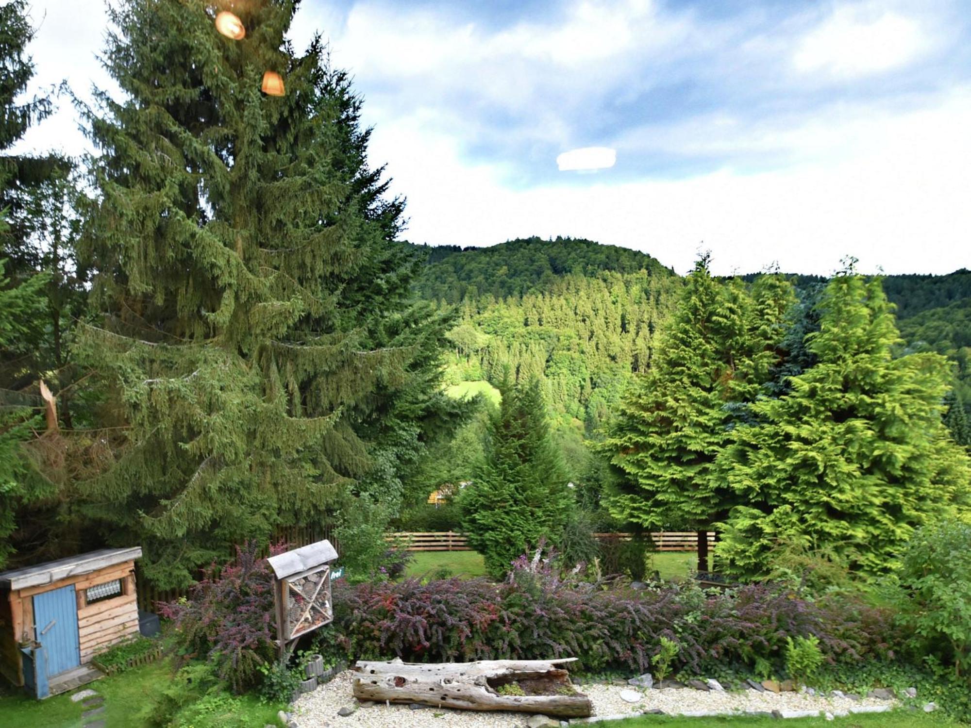Holiday Home In Wieda With Sauna Εξωτερικό φωτογραφία